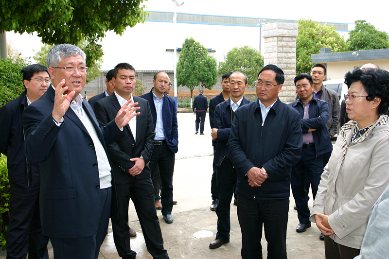 云南省人大常委会副主任王树芬率队到中建科技调研