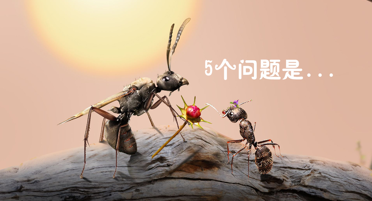 云南昆明太阳能厂家太阳能热水工程设计中使用平板的几点提升空间？